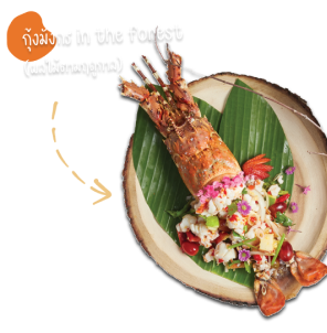 กุ้งมังกร